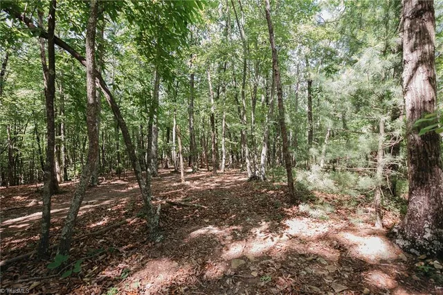 $200,000 | Xx 44.93-acres Xx 44.93-acres Stardust Trail Mount, Mount Airy, NC 27030