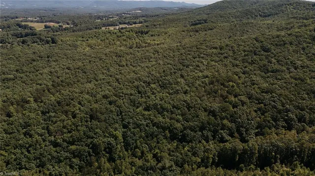 $200,000 | Xx 44.93-acres Xx 44.93-acres Stardust Trail Mount, Mount Airy, NC 27030