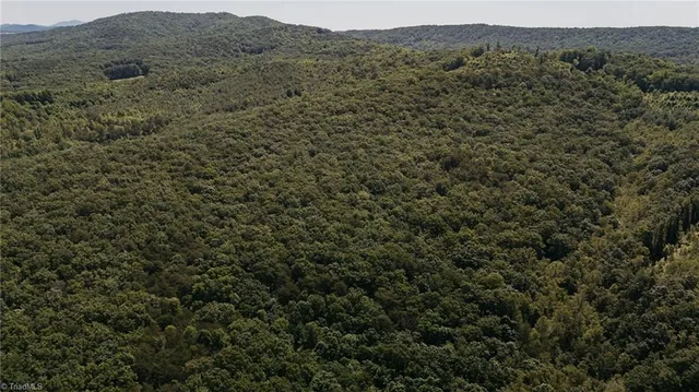 $200,000 | Xx 44.93-acres Xx 44.93-acres Stardust Trail Mount, Mount Airy, NC 27030
