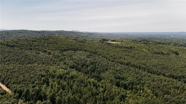 $200,000 | Xx 44.93-acres Xx 44.93-acres Stardust Trail Mount, Mount Airy, NC 27030