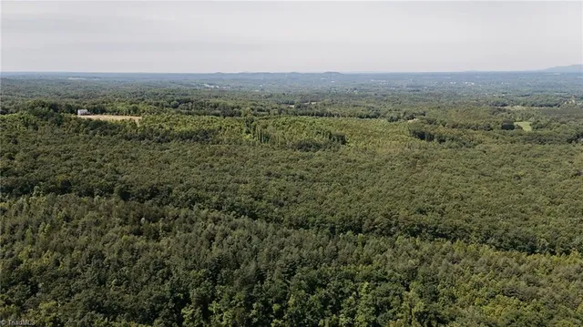 $200,000 | Xx 44.93-acres Xx 44.93-acres Stardust Trail Mount, Mount Airy, NC 27030