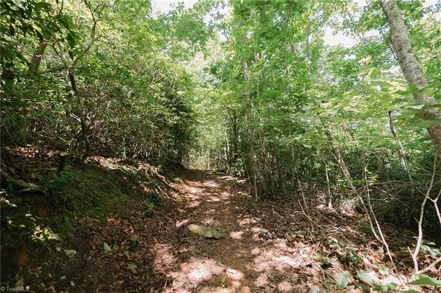 $200,000 | Xx 44.93-acres Xx 44.93-acres Stardust Trail Mount, Mount Airy, NC 27030
