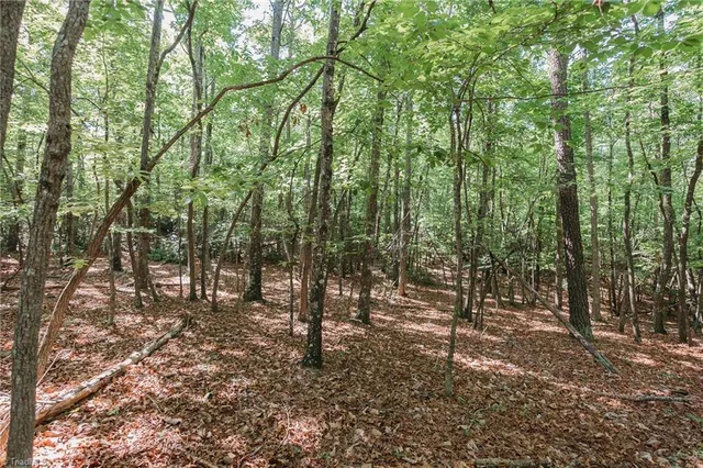 $200,000 | Xx 44.93-acres Xx 44.93-acres Stardust Trail Mount, Mount Airy, NC 27030