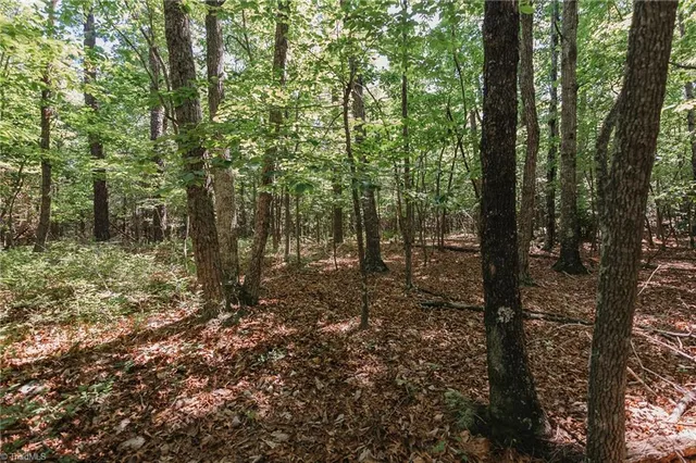 $200,000 | Xx 44.93-acres Xx 44.93-acres Stardust Trail Mount, Mount Airy, NC 27030