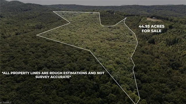 $200,000 | Xx 44.93-acres Xx 44.93-acres Stardust Trail Mount, Mount Airy, NC 27030