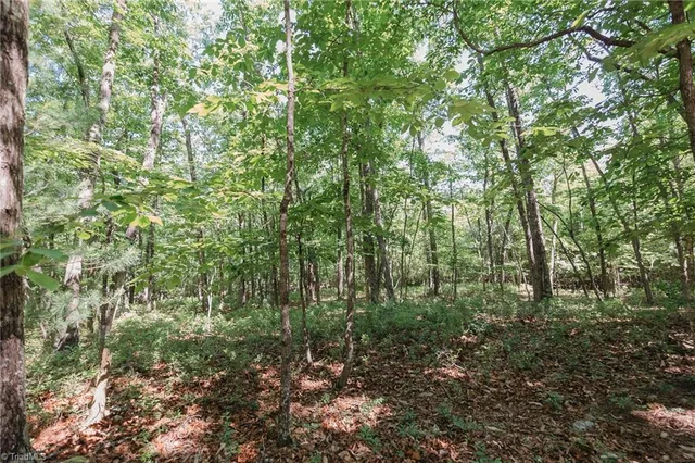 $200,000 | Xx 44.93-acres Xx 44.93-acres Stardust Trail Mount, Mount Airy, NC 27030