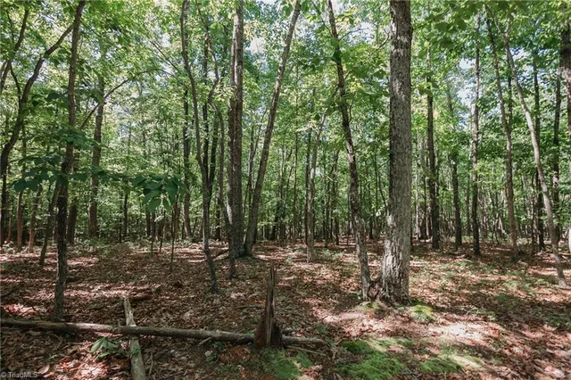 $200,000 | Xx 44.93-acres Xx 44.93-acres Stardust Trail Mount, Mount Airy, NC 27030