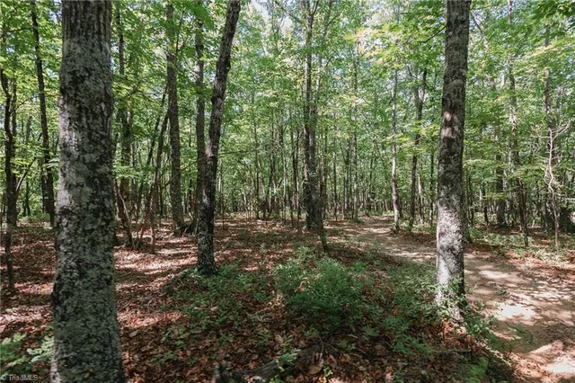 $200,000 | Xx 44.93-acres Xx 44.93-acres Stardust Trail Mount, Mount Airy, NC 27030