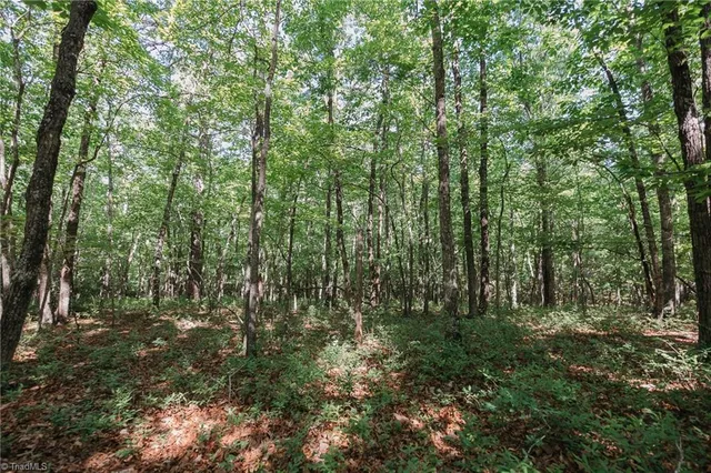$200,000 | Xx 44.93-acres Xx 44.93-acres Stardust Trail Mount, Mount Airy, NC 27030