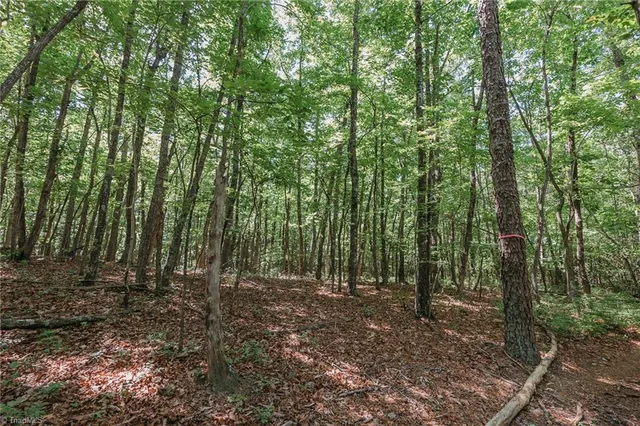 $200,000 | Xx 44.93-acres Xx 44.93-acres Stardust Trail Mount, Mount Airy, NC 27030