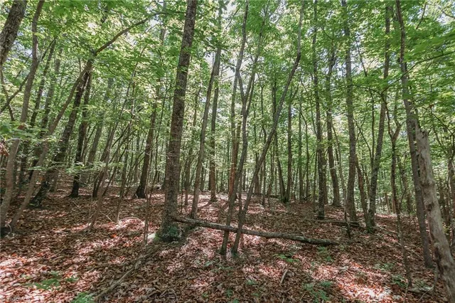 $200,000 | Xx 44.93-acres Xx 44.93-acres Stardust Trail Mount, Mount Airy, NC 27030