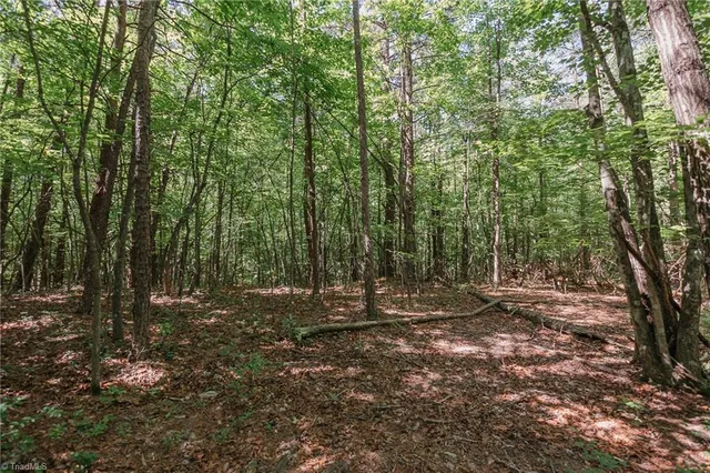 $200,000 | Xx 44.93-acres Xx 44.93-acres Stardust Trail Mount, Mount Airy, NC 27030