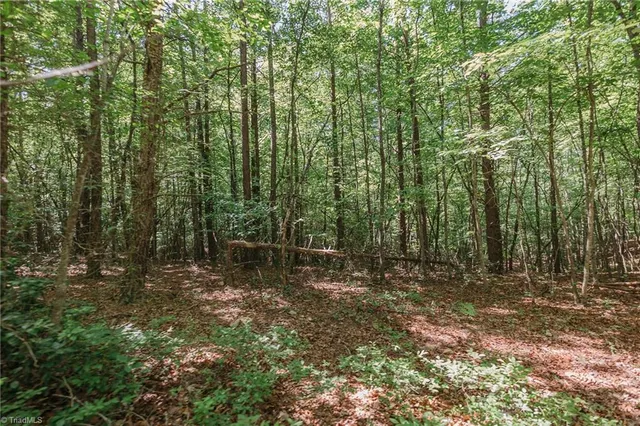 $200,000 | Xx 44.93-acres Xx 44.93-acres Stardust Trail Mount, Mount Airy, NC 27030