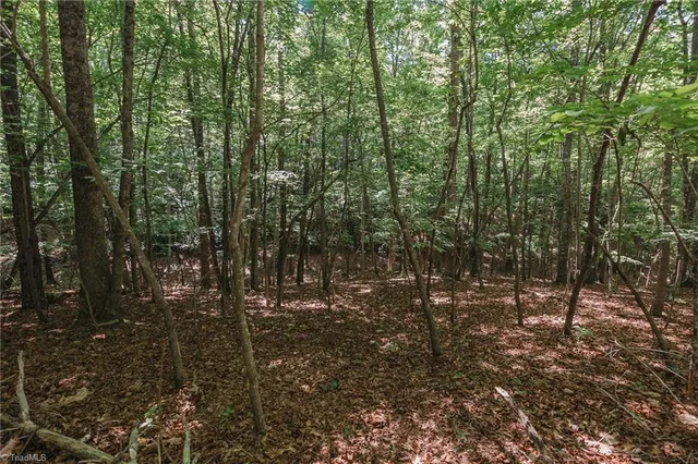 $200,000 | Xx 44.93-acres Xx 44.93-acres Stardust Trail Mount, Mount Airy, NC 27030