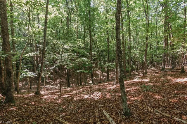 $200,000 | Xx 44.93-acres Xx 44.93-acres Stardust Trail Mount, Mount Airy, NC 27030