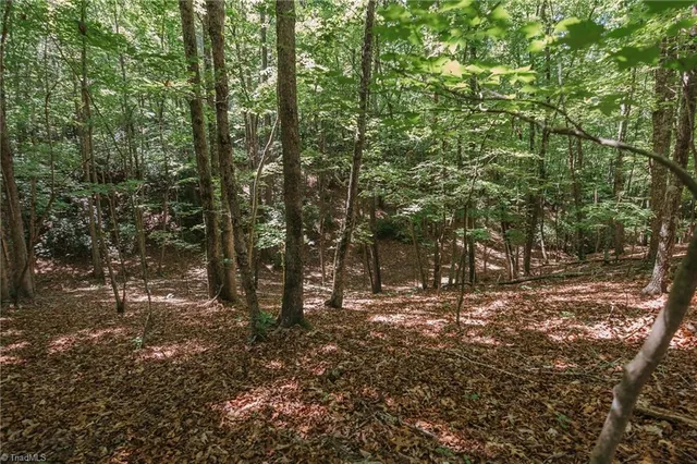 $200,000 | Xx 44.93-acres Xx 44.93-acres Stardust Trail Mount, Mount Airy, NC 27030