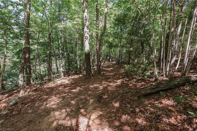 $200,000 | Xx 44.93-acres Xx 44.93-acres Stardust Trail Mount, Mount Airy, NC 27030