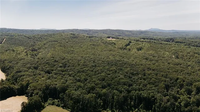 $200,000 | Xx 44.93-acres Xx 44.93-acres Stardust Trail Mount, Mount Airy, NC 27030