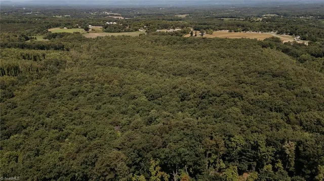 $200,000 | Xx 44.93-acres Xx 44.93-acres Stardust Trail Mount, Mount Airy, NC 27030