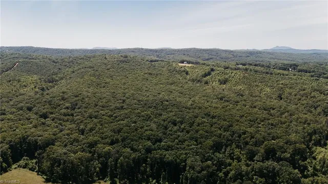 $200,000 | Xx 44.93-acres Xx 44.93-acres Stardust Trail Mount, Mount Airy, NC 27030