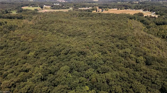 $200,000 | Xx 44.93-acres Xx 44.93-acres Stardust Trail Mount, Mount Airy, NC 27030