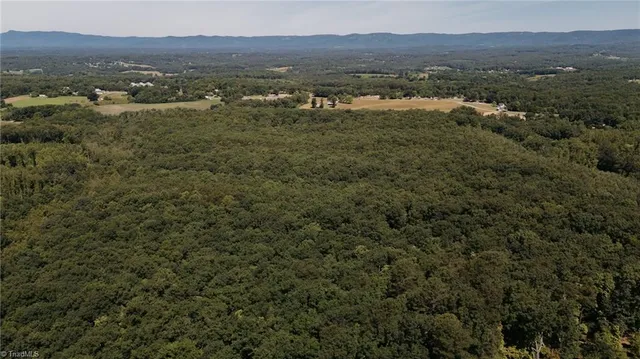 $200,000 | Xx 44.93-acres Xx 44.93-acres Stardust Trail Mount, Mount Airy, NC 27030