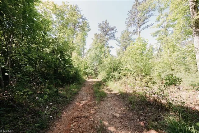 $200,000 | Xx 44.93-acres Xx 44.93-acres Stardust Trail Mount, Mount Airy, NC 27030