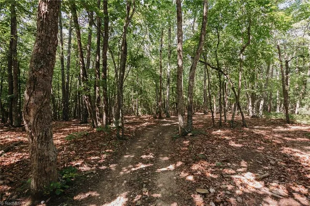 $200,000 | Xx 44.93-acres Xx 44.93-acres Stardust Trail Mount, Mount Airy, NC 27030