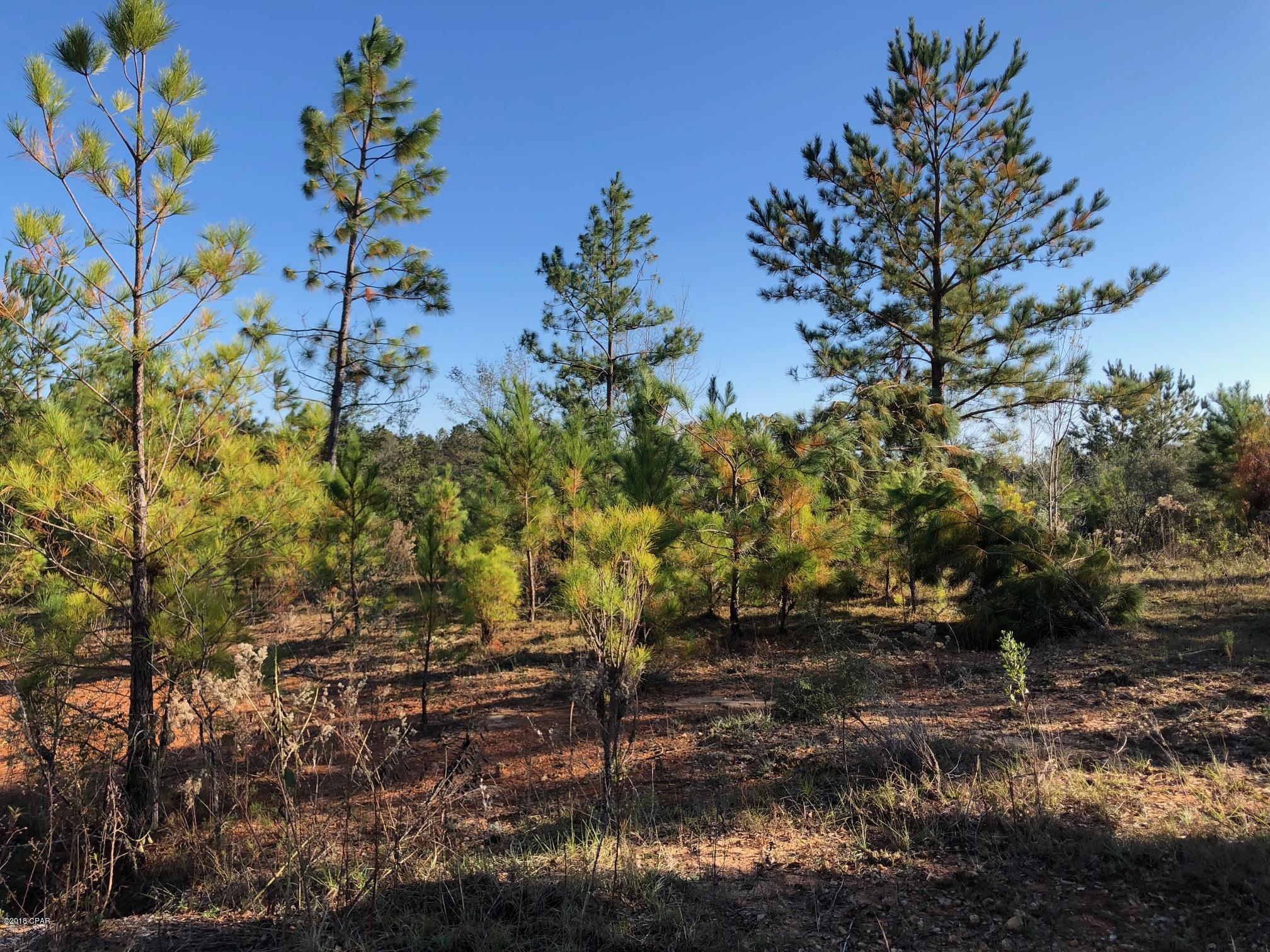 Lot 3 Old Mill Road Chipley, FL 32428 - Photo 8 of 14