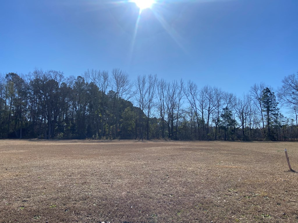 140 Damascus Road Sumter, SC 29153 - Photo 6 of 9 Photo 6