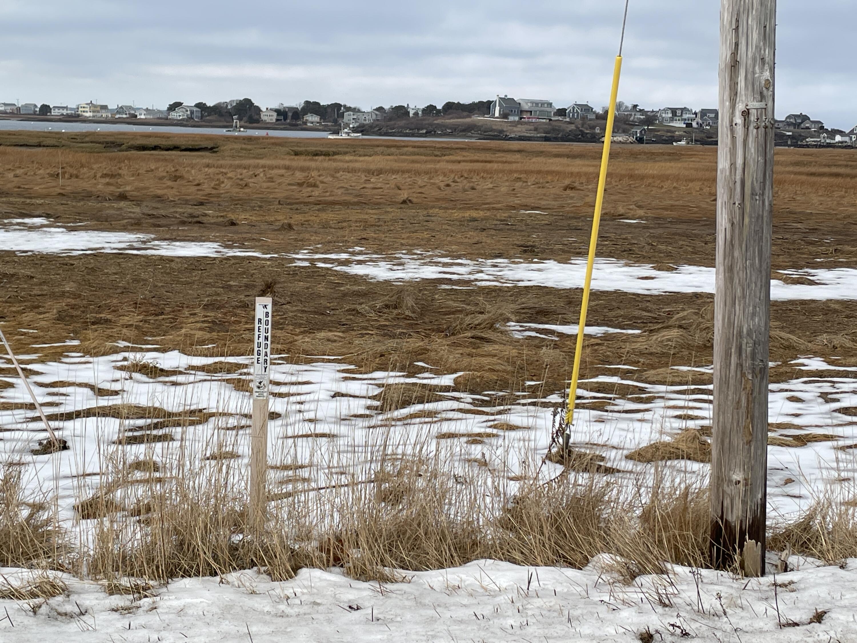 99 Mile Stretch Road Biddeford, ME 04005 - Photo 3 of 6 99 Mile stretch SW boundary, stake is Ra