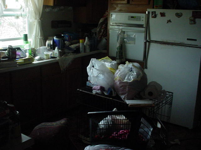 8222 Truevine Road Glade Hill, VA 24092 - Photo 12 of 12 Kitchen