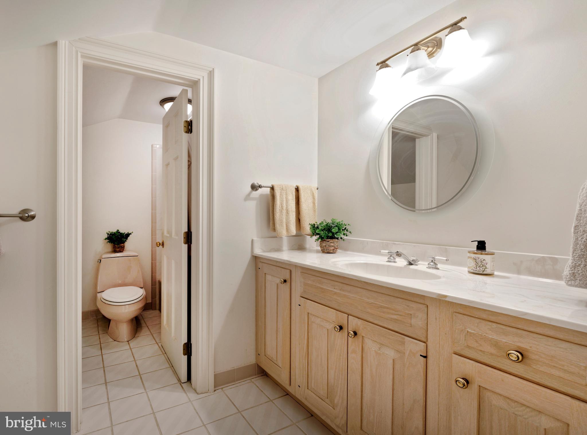 1310 Delaplane Grade Road Upperville, VA 20184 - Photo 39 of 94 Full bath with vanity & separate tub/shower room