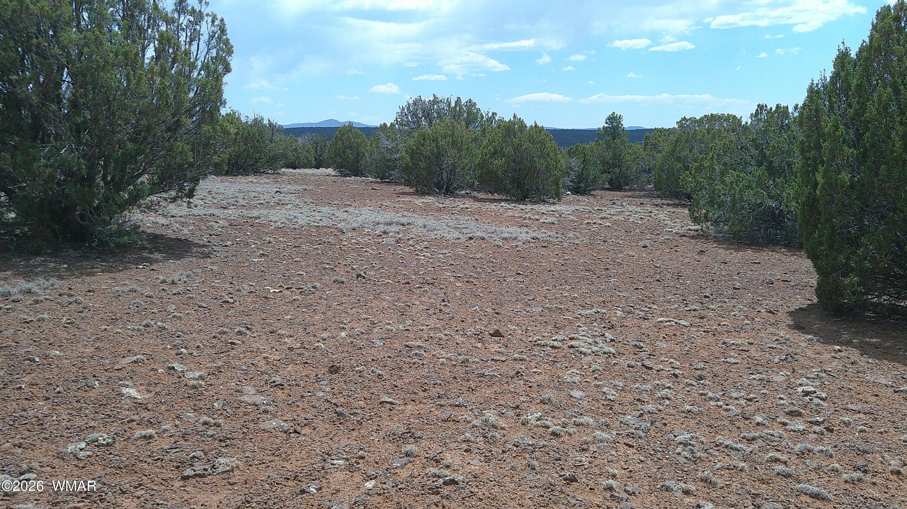 74 Co Road Concho, AZ 85924 - Photo 1 of 11 Primary