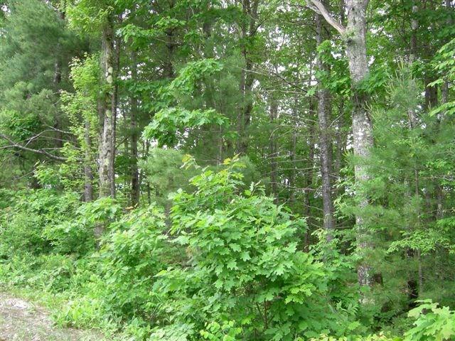 Lot 126 Wellman Road Augusta, ME 04330 - Photo 1 of 6 Photo