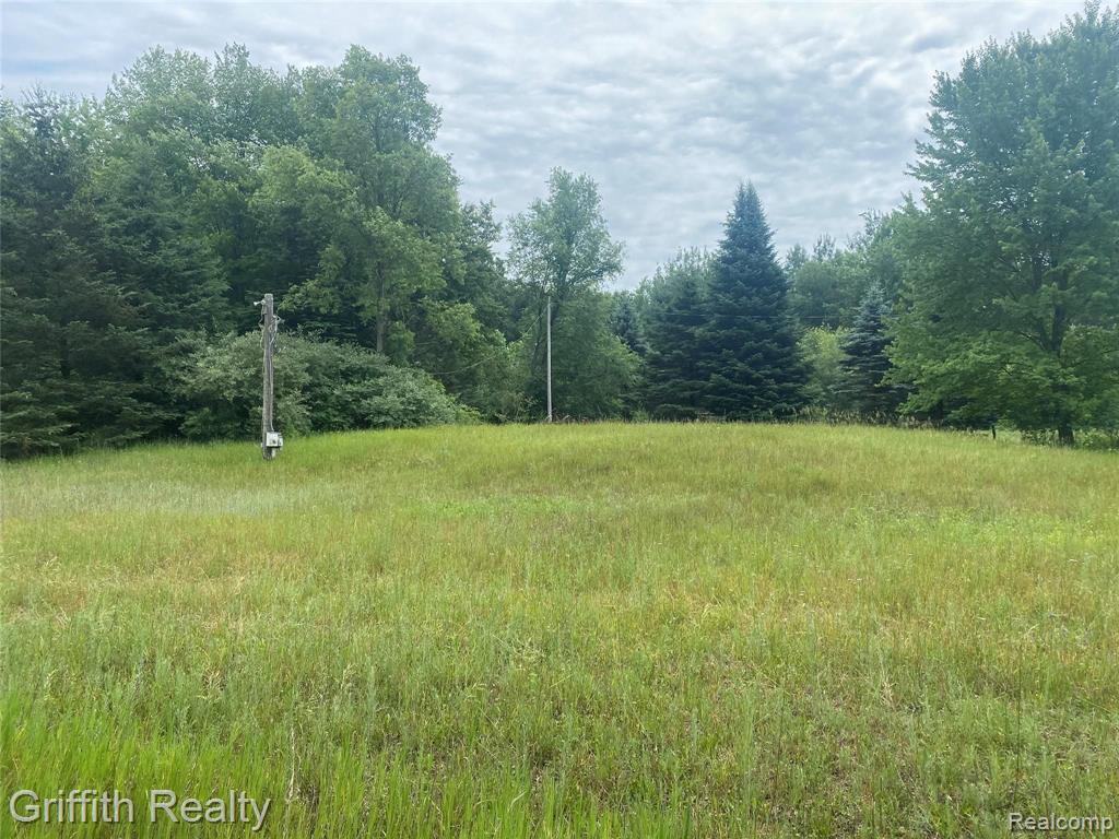 10420 Betterly Road Howell, MI 48855 - Photo 2 of 7