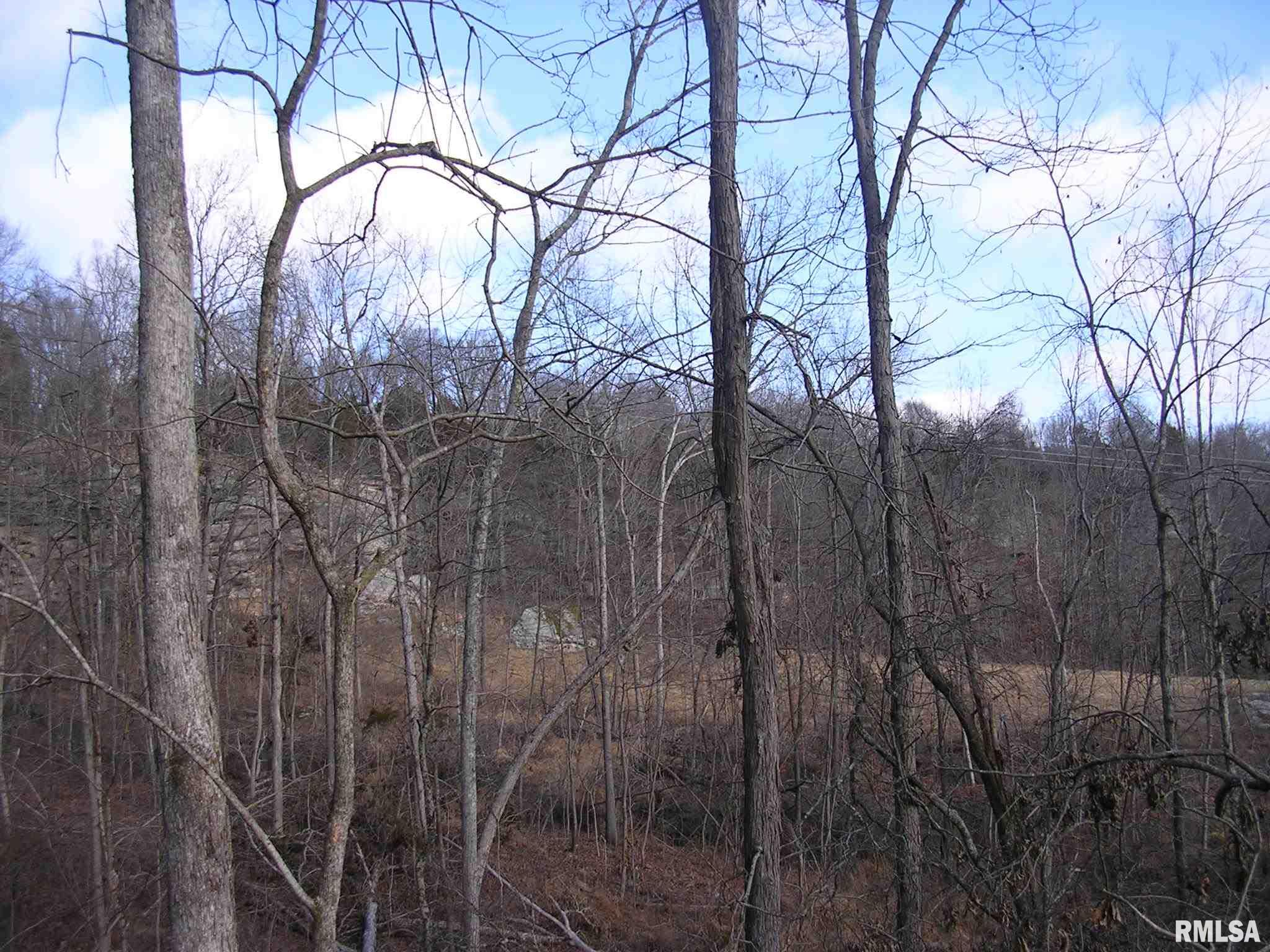 Pleasant Ridge Road Vienna, IL 62995 - Photo 9 of 27