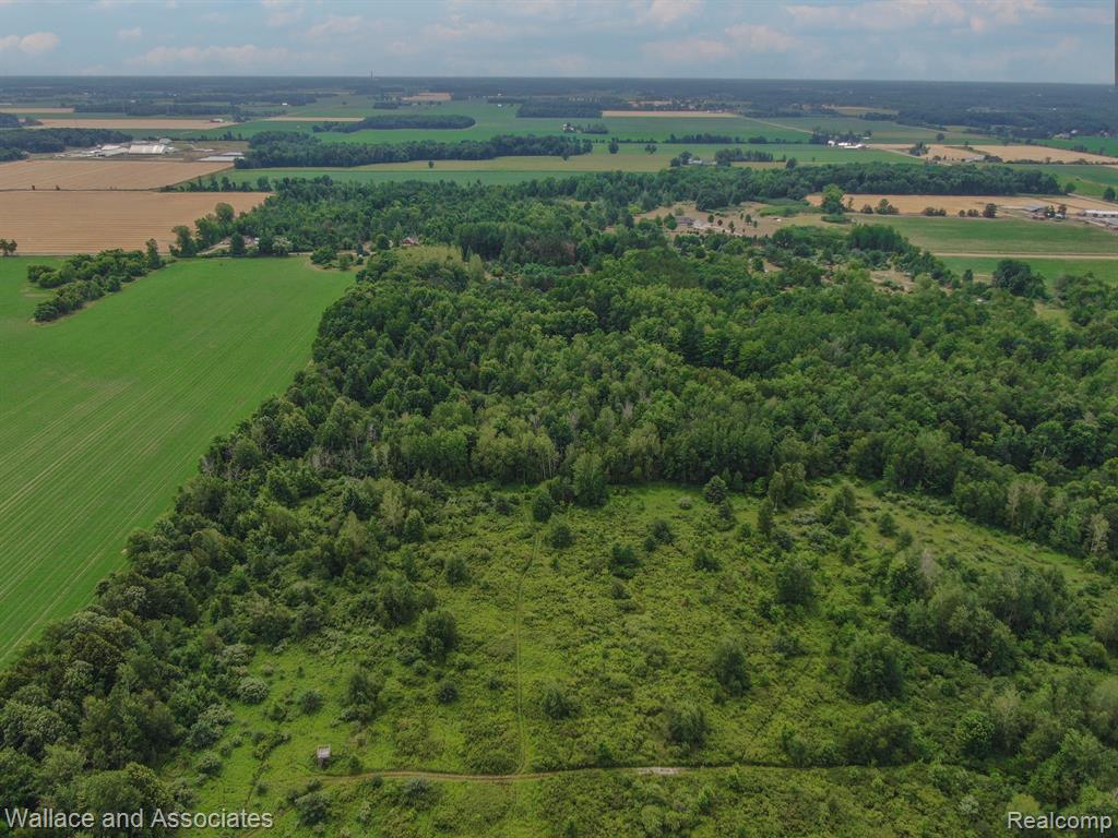 1665 Burns Line Road Croswell, MI 48422 - Photo 26 of 32