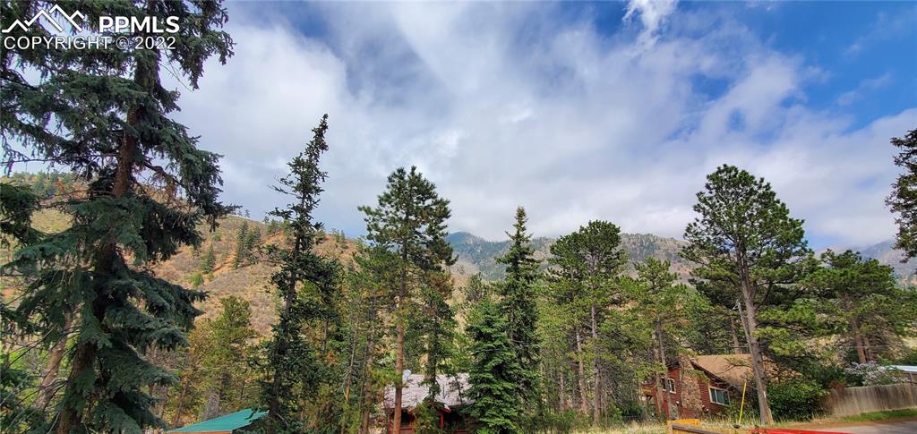 9955 Mesa Road Cascade, CO 80809 - Photo 11 of 30 a view of a city