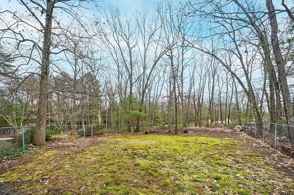 130 Coles Meadow Road Northampton, MA 01060 - Photo 33 of 42 a view of outdoor space with trees