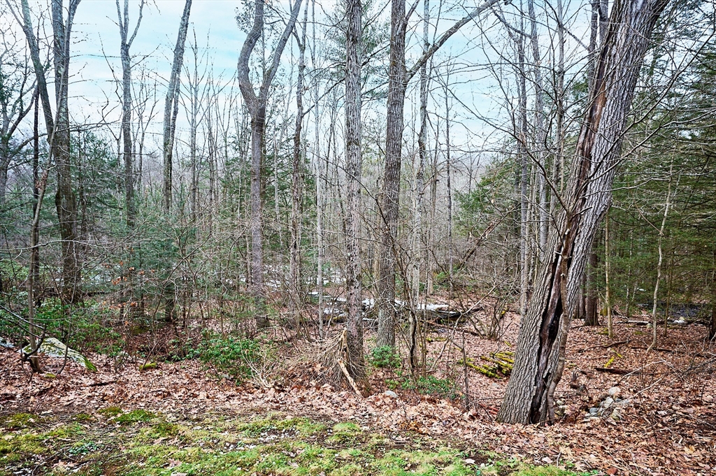 130 Coles Meadow Road Northampton, MA 01060 - Photo 34 of 42 a backyard of a house with lots of green space and fog