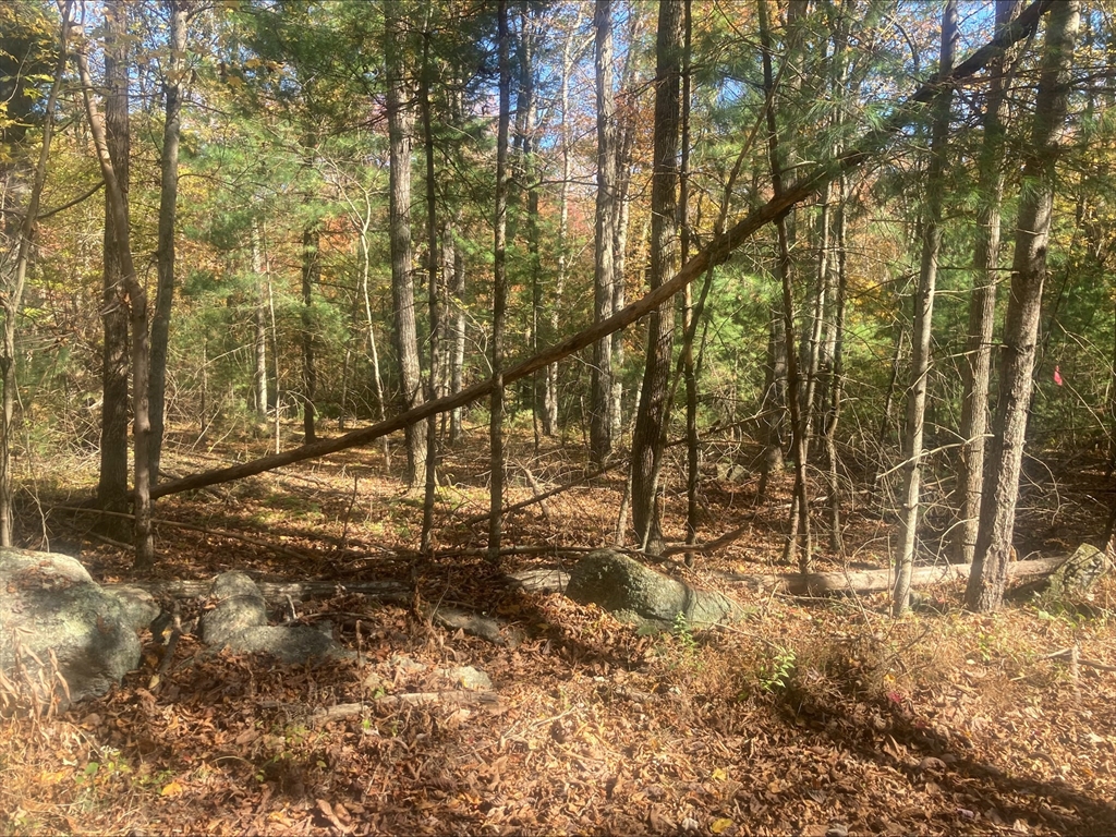 0 Yew Street Douglas, MA 01516 - Photo 12 of 13