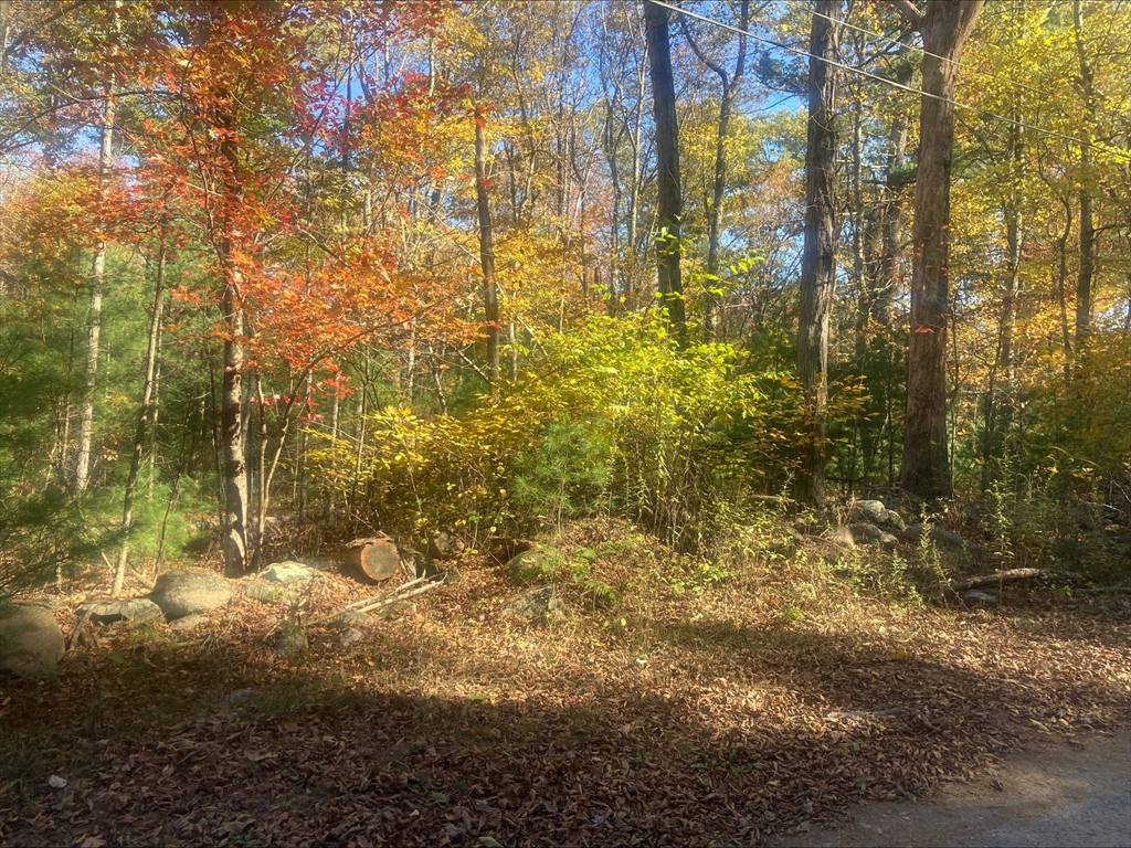 0 Yew Street Douglas, MA 01516 - Photo 13 of 13