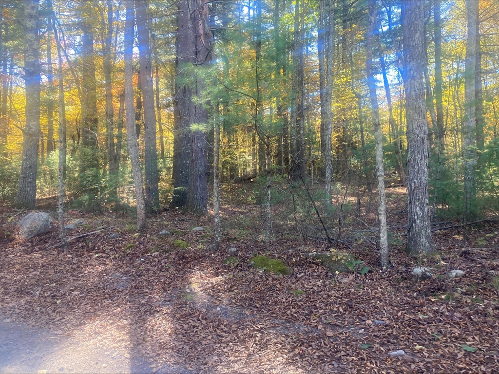 0 Yew Street Douglas, MA 01516 - Photo 5 of 13