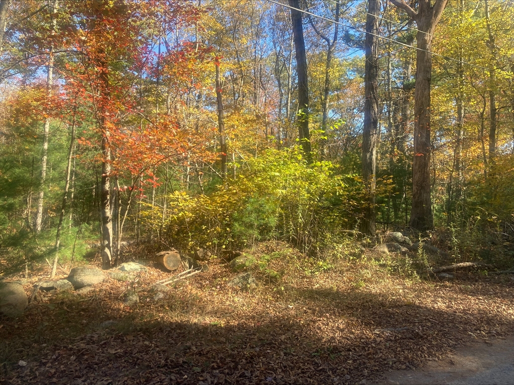 0 Yew Street Douglas, MA 01516 - Photo 7 of 13