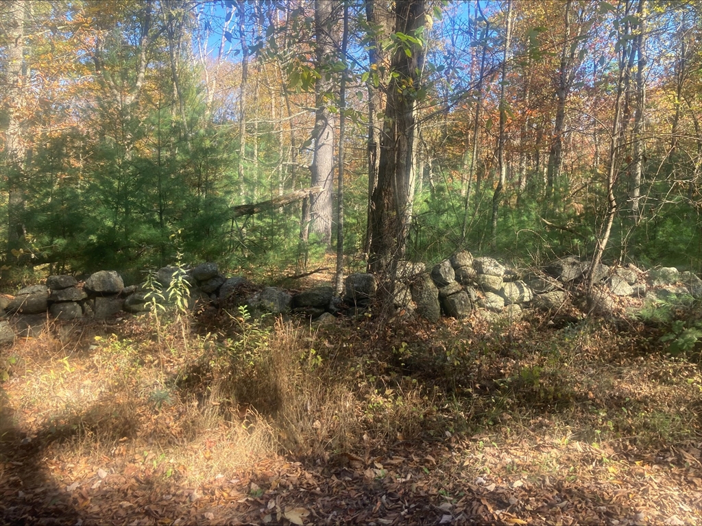 0 Yew Street Douglas, MA 01516 - Photo 8 of 13