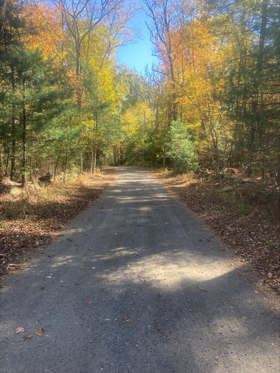 0 Yew Street Douglas, MA 01516 - Photo 10 of 13