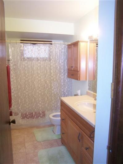 9018 Mathews Street Crown Point, IN 46307 - Photo 9 of 10 398x531