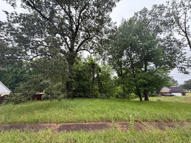 0 Clearwood Road Memphis, TN 38134 - Photo 1 of 3 View of yard