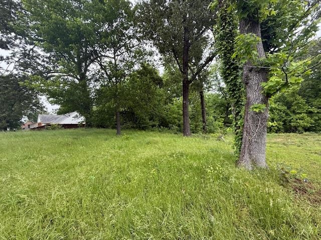 0 Clearwood Road Memphis, TN 38134 - Photo 2 of 3 View of yard